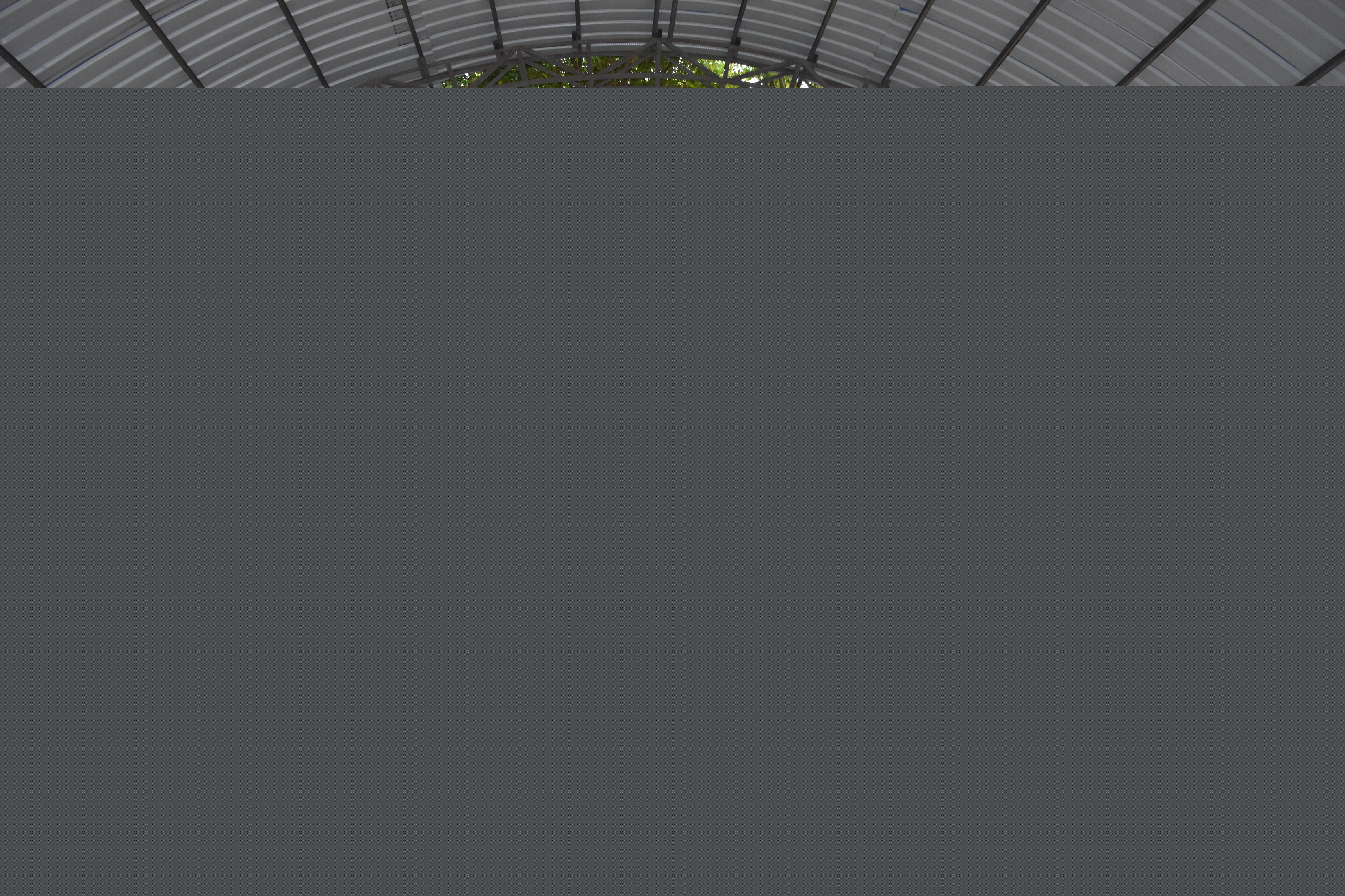 公司團建心得體會?