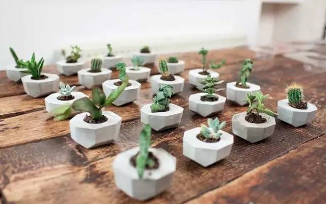 有趣的小模具介紹 有趣的小模具介紹